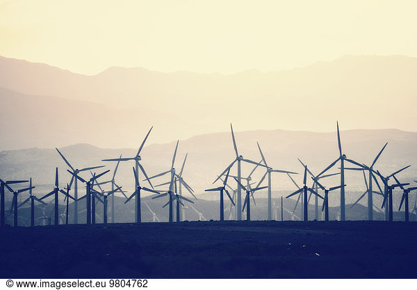 Wind power turbines in the landscape. A large number of turbine powers on a plain against a mountain backdrop.