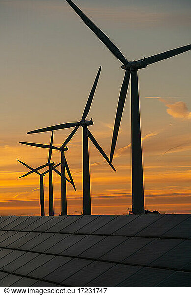 Wind turbine energy generators on wind farm