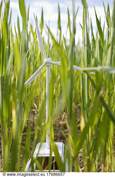 Wind turbine model amidst crops in green field