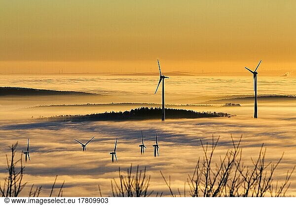 Wind turbines and forest rising from cloud cover  wind power station  bare branches in winter  silhouettes at sunset  Köterberg  Lügde  Weserbergland  North Rhine-Westphalia  Germany  Europe