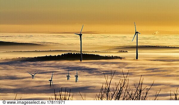 Wind turbines and forest rising from cloud cover  wind power station  bare branches in winter  silhouettes at sunset  Köterberg  Lügde  Weserbergland  North Rhine-Westphalia  Germany  Europe