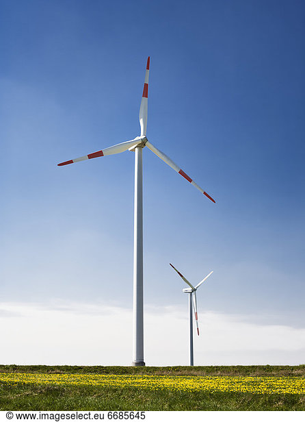 Wind Turbines in Field