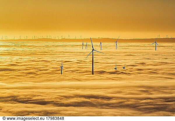 Wind turbines rising from cloud cover  silhouettes at sunset  Köterberg  Lügde  Weserbergland  North Rhine-Westphalia