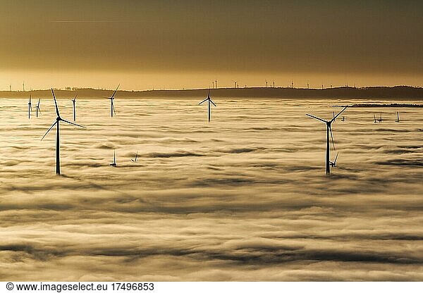 Wind turbines rising from cloud cover  silhouettes at sunset  Köterberg  Lügde  Weserbergland  North Rhine-Westphalia  Germany  Europe
