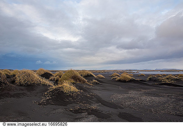 Windgepeitschte schwarze Sanddünen von Stokksnes  Island