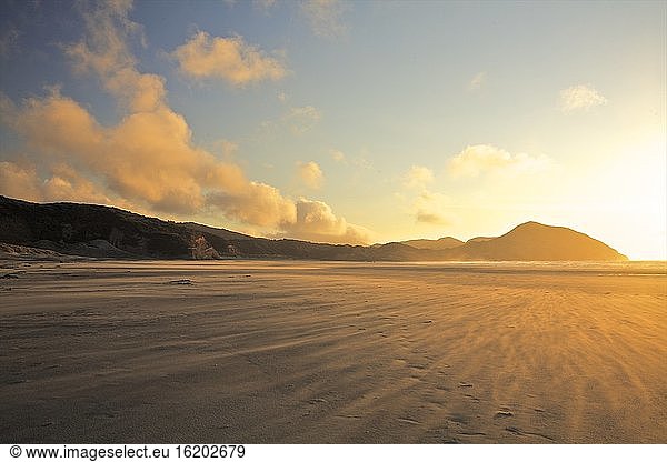 Windgepeitschter Strand  Golden Bay bei Sonnenuntergang  Südinsel  Neuseeland