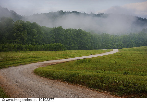 Winding rural dirt road through a woodland covered in fog in Tennessee.
