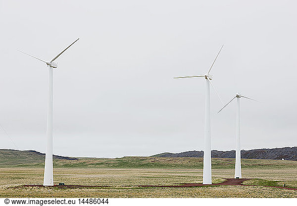 Windkraftanlagen auf grüner Tundra  St. Paul Island  Südwest-Alaska  USA  Sommer