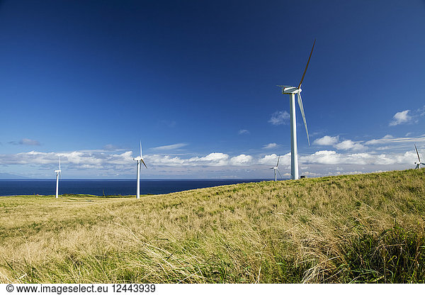 Windkraftanlagen in einem Windpark  Upolu Point  North Kohala  Insel Hawaii  Hawaii  Vereinigte Staaten von Amerika