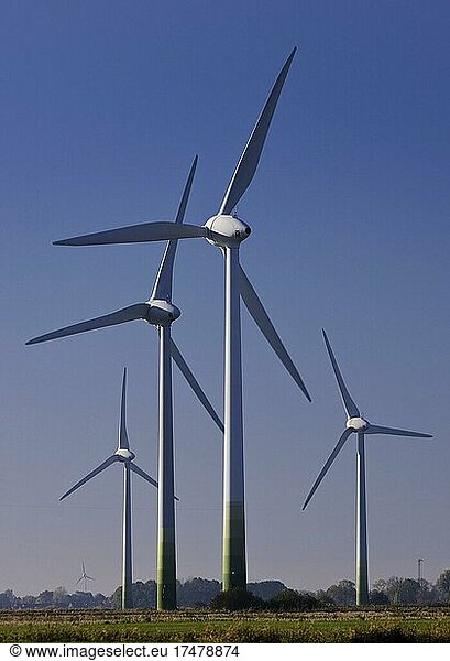 Windkraftanlagen in Marschlandschaft  Krummhörn  Ostfriesland  Niedersachsen  Deutschland  Europa
