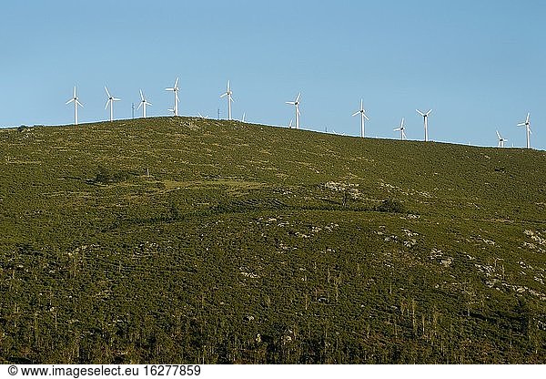 Windkraftanlagen in Porto do Son  Galicien  Spanien.