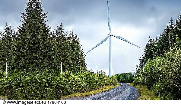 Windmühle auf dem Feld  Windmühle mit Solaranlagen  nachwachsende Rohstoffe für die Umwelt Gifhorn  Deutschland  Europa
