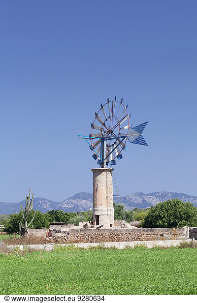 Windmühle  bei Sant Jordi  Mallorca  Balearen  Spanien