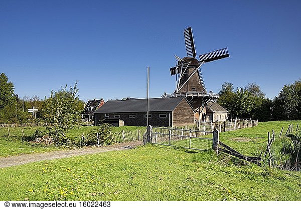 Windmühle der Feanstermoune im friesischen Dorf Surhuisterveen.
