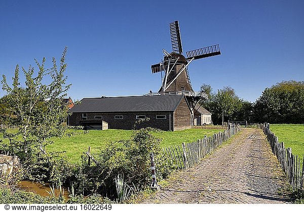 Windmühle der Feanstermoune im friesischen Dorf Surhuisterveen.