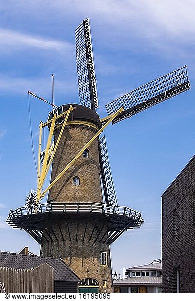 Windmühle in Hellevoetsluis  Die Niederlande  Europa.
