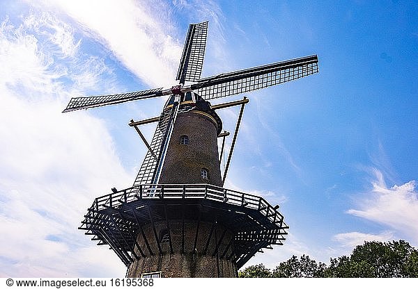 Windmühle in Hellevoetsluis  Niederlande  Europa.
