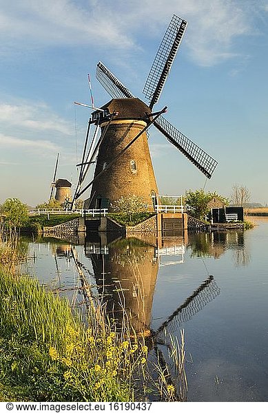 Windmühle  Kinderdijk  UNESCO Weltkulturerbe  Südholland  Niederlande  Europa
