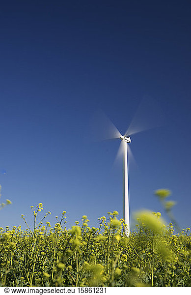Windmühle zur Erzeugung erneuerbarer elektrischer Energie in Spanien.