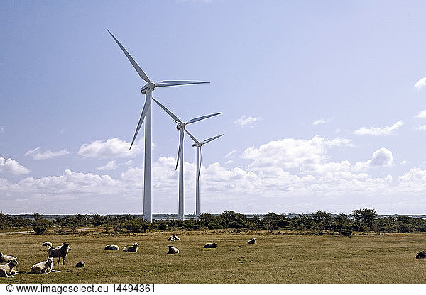 Windmühlen auf einem Feld  Schweden.