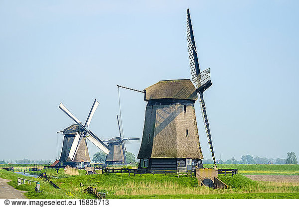 Windmühlen auf Poldern in der Nähe des Dorfes Schermerhorn  Niederlande