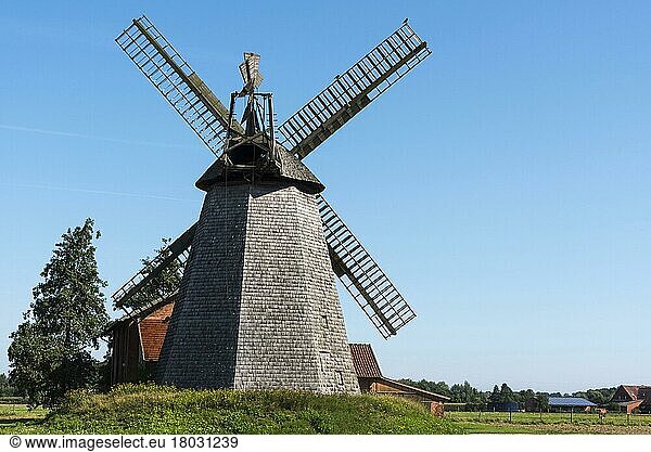 Windmill  Bierde  Petershagen  Minden-Lübbecke  East Westphalia-Lippe  North Rhine-Westphalia  Germany  Europe