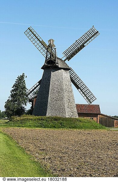 Windmill  Bierde  Petershagen  Minden-Lübbecke  East Westphalia-Lippe  North Rhine-Westphalia  Germany  Europe