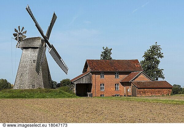 Windmill  Bierde  Petershagen  Minden-Lübbecke  East Westphalia-Lippe  North Rhine-Westphalia  Germany  Europe