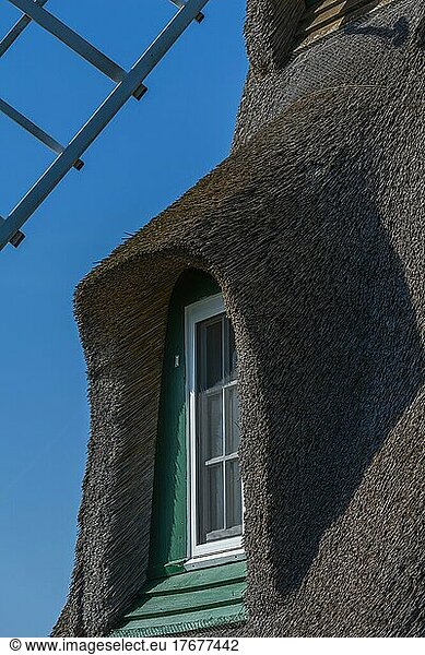 Windmill Charlotte  earthen bollard from 1826  detail  window  Nieby  renovation  thatched roof  sunshine  landscape Angeln  Schleswig-Holstein  NSG Geltinger Birk  Gelting  Baltic Sea  Germany  Europe