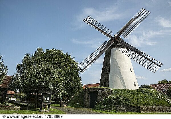 Windmill  Dützen  Minden-Lübbecke  East Westphalia-Lippe  North Rhine-Westphalia  Germany  Europe