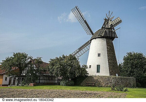 Windmill  Eickhorst  Minden-Lübbecke  East Westphalia-Lippe  North Rhine-Westphalia  Germany  Europe