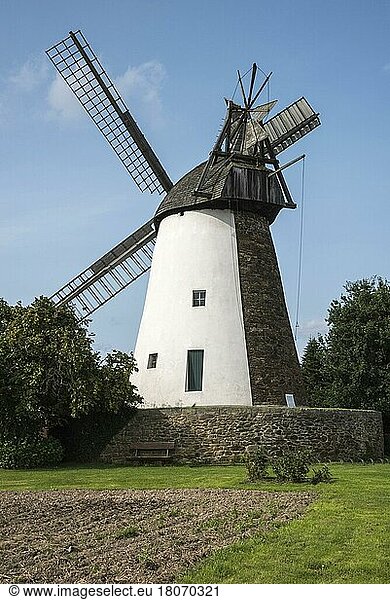 Windmill  Eickhorst  Minden-Lübbecke  East Westphalia-Lippe  North Rhine-Westphalia  Germany  Europe