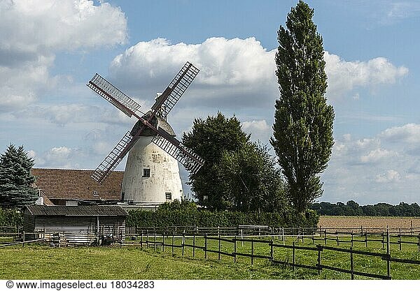 Windmill  Stemmer  Minden-Lübbecke  East Westphalia-Lippe  North Rhine-Westphalia  Germany  Europe