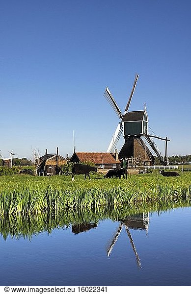 Windmill the Wingerdse Molen close to the Dutch village Bleskensgraaf seen on a clear and crisp day in spring.