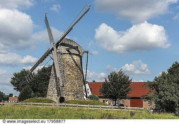 Windmill  Todtenhausen  Minden-Lübbecke  East Westphalia-Lippe  North Rhine-Westphalia  Germany  Europe