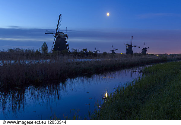 Windmills at Dawn with Moon  Kinderdijk  South Holland  Netherlands