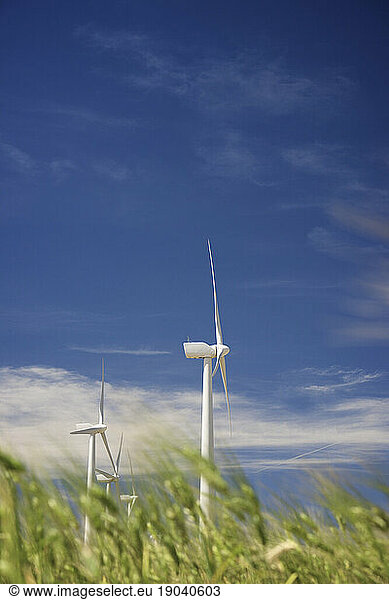 Windmills for renewable electric production in Zaragoza Province  Spain.