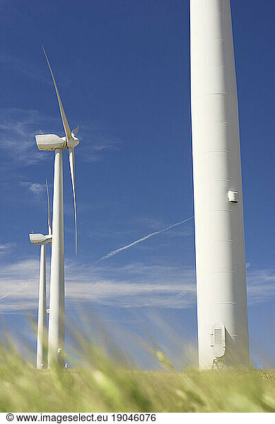 Windmills for renewable electric production in Zaragoza Province  Spain.