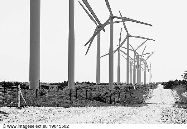 Windmills lining a dirt road