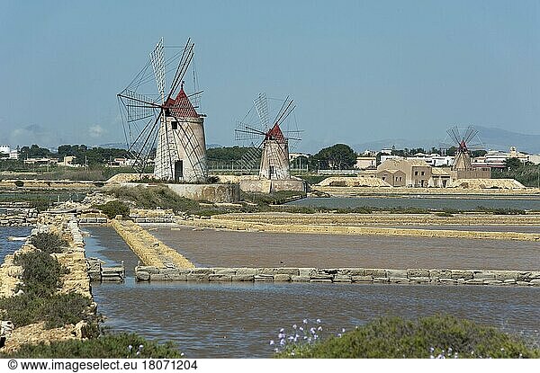 Windmills  Marsala Salt Works  Trapani Province  Sicily  Italy  salt  salt production  sea salt  sea salt production  Europe