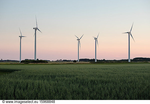 Windmills on grassy field against clear sky during sunset