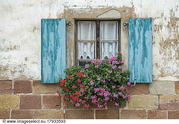 Window with blue shutters and floral decorations  Seebach  Département Bas-Rhin  Alsace  France  Europe