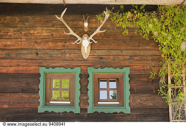 Window with deer antler