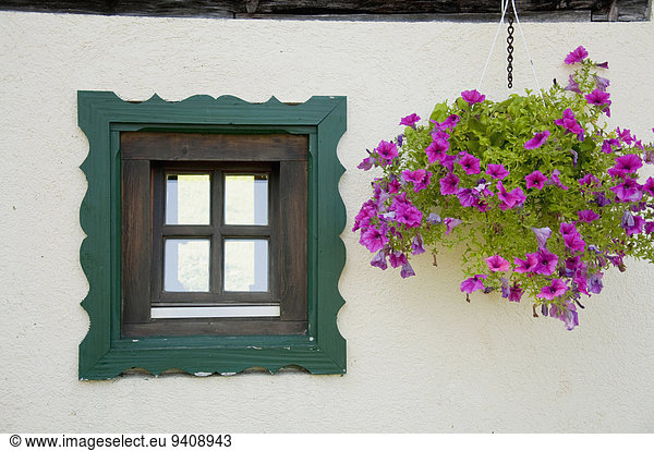 Window with flower pot