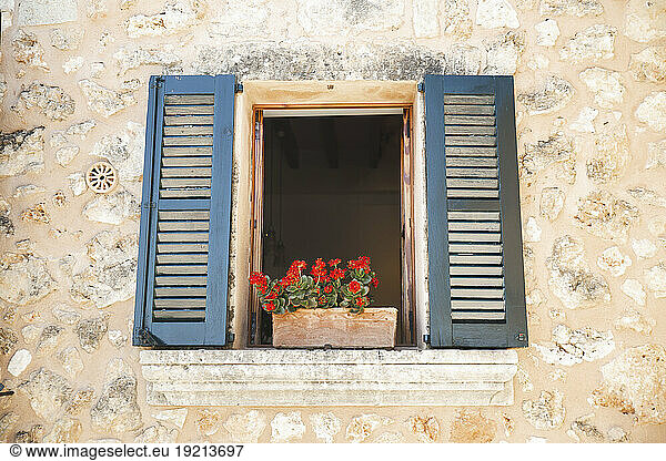 Window with red flower pot