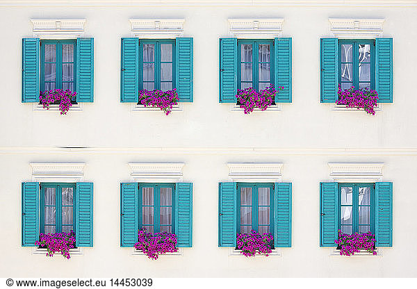 Windows and Window Boxes