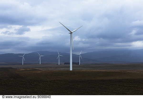Windpark im Tal  Andalusien  Spanien