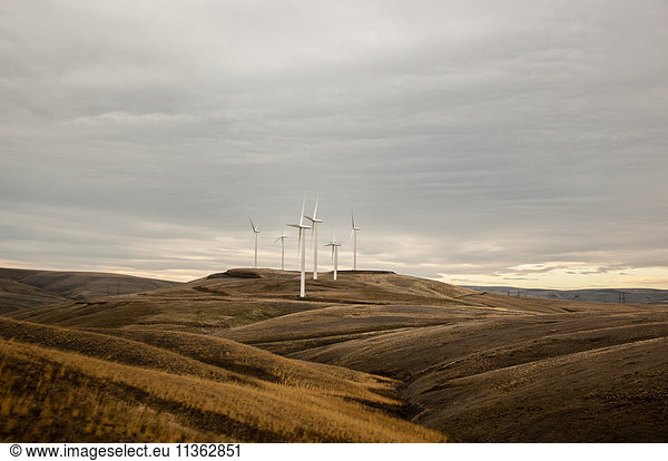 Windpark in hügeliger Landschaft  Condon  Oregon  USA