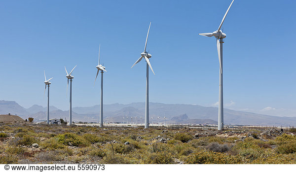 Windräder  Windkraftanlagen  Pozo  Santa LucÌa de Tirajana  Gran Canaria  Kanarische Inseln  Spanien  Europa