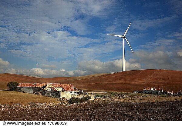 Windrad und davor verfallene  verlassene Häuser  Bauernhof  Andalusien  Spanien  Europa